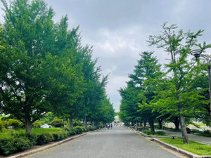 25051801