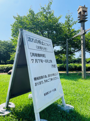25062803