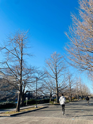 25120601_3 25120601_3