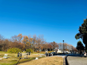 25120601_4 25120601_4