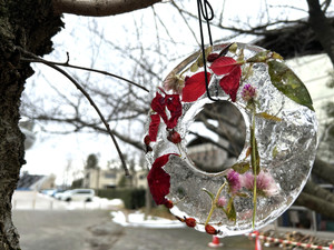 Img_7512_2 Img_7512_2