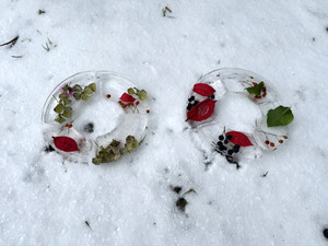 Img_7515_2 Img_7515_2