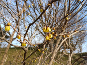 Img_20260214_143747 Img_20260214_143747