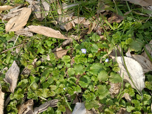 Img_20260221_110554_1