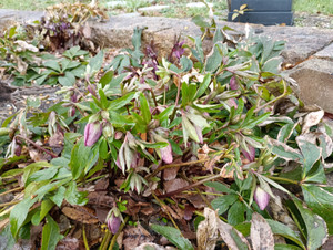 Img_20260228_135222_1