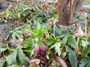 Img_20260228_135234_1