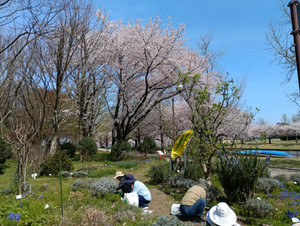 Img_20260409_101143_1