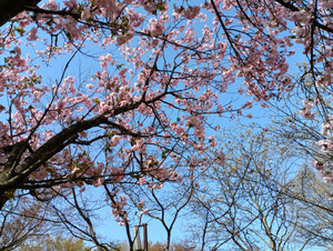 Img_20260411_145145_1