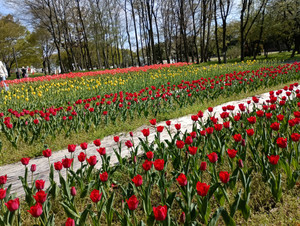 Img_20260411_142101_1