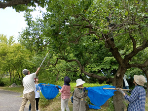 Img_20260528_102010