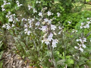 Img_8173 Img_8173