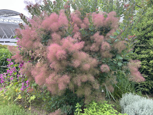 Img_8196 Img_8196