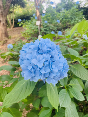 260616in_05