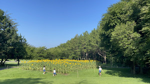 260808__9